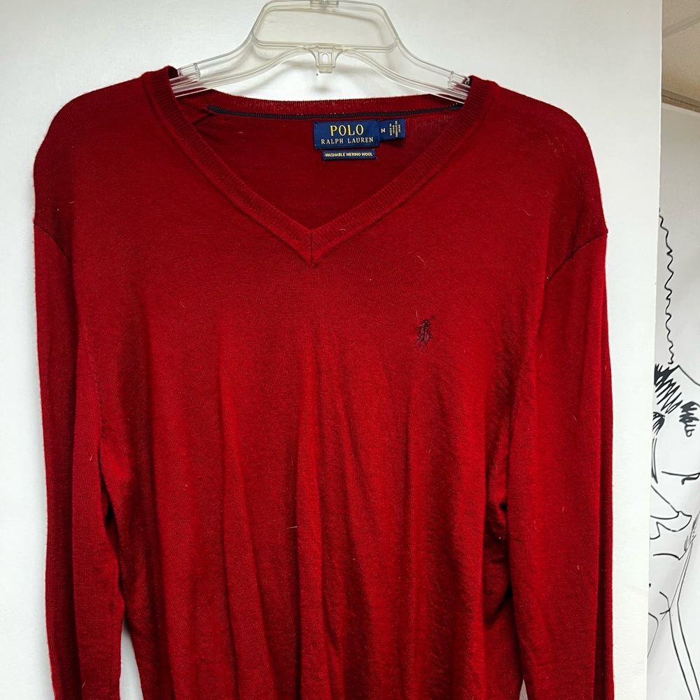 polo mens sweater